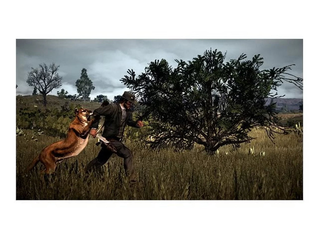 2 Xbox Red Redemption One Dead