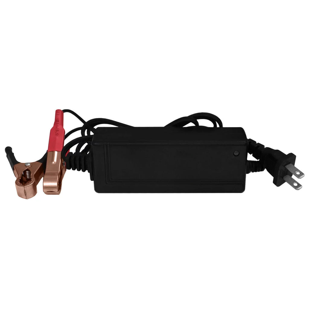 GSX-R1000 12V Battery for 10AH Charger GEL + YTX12-BS 2Amp 12V Suzuki