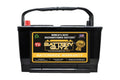 Performance Gold (850 CCA) Truck Group 65 Standard Size Battery