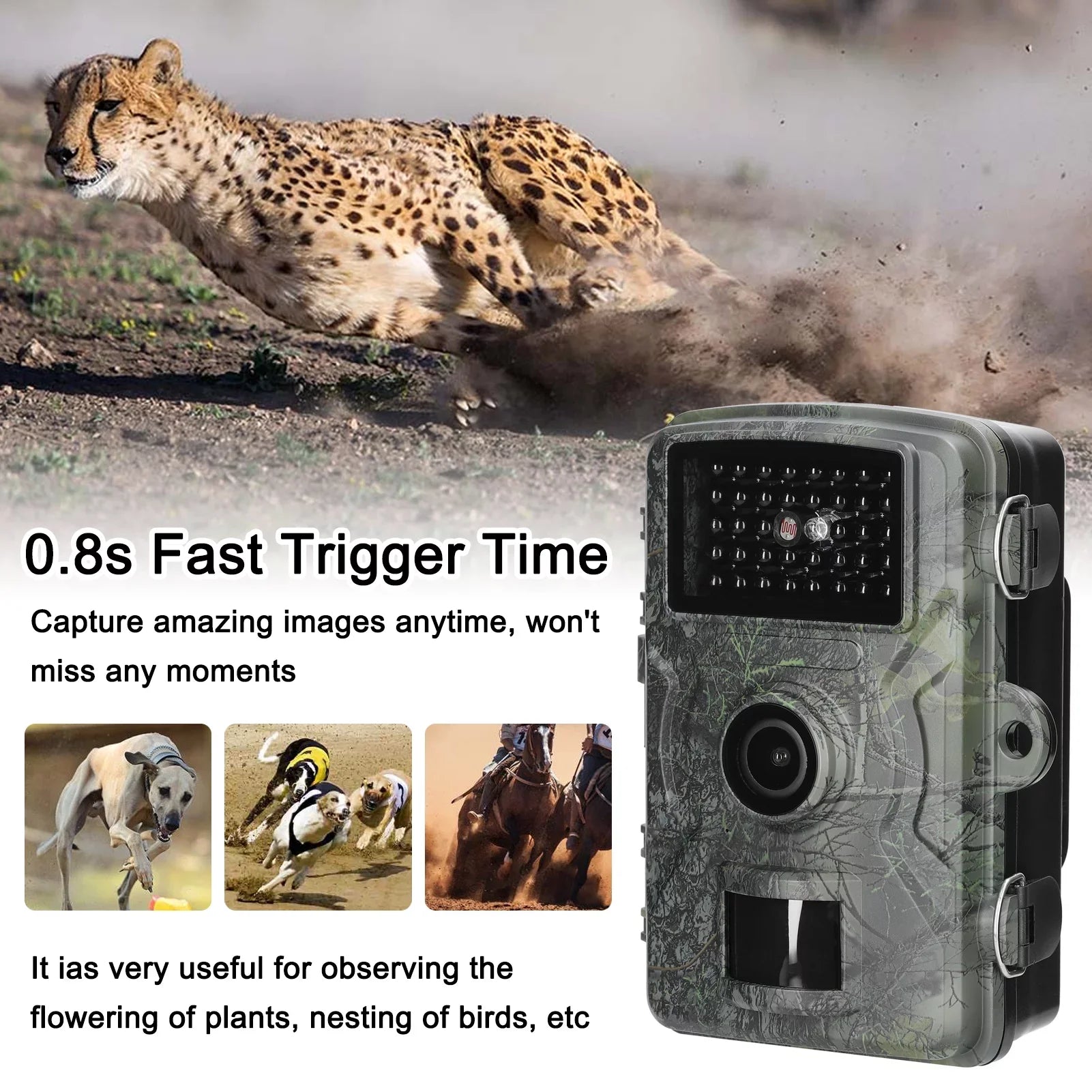 Waterproof, Infrared 1080P our Portable with Lights Camera Wildlife Moments Capture Tomshoo Trail 16MP IP66