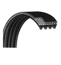 Retail Poly 004177-A Horizon Fitness Ribs Belt Drive V Elliptical Matrix 8