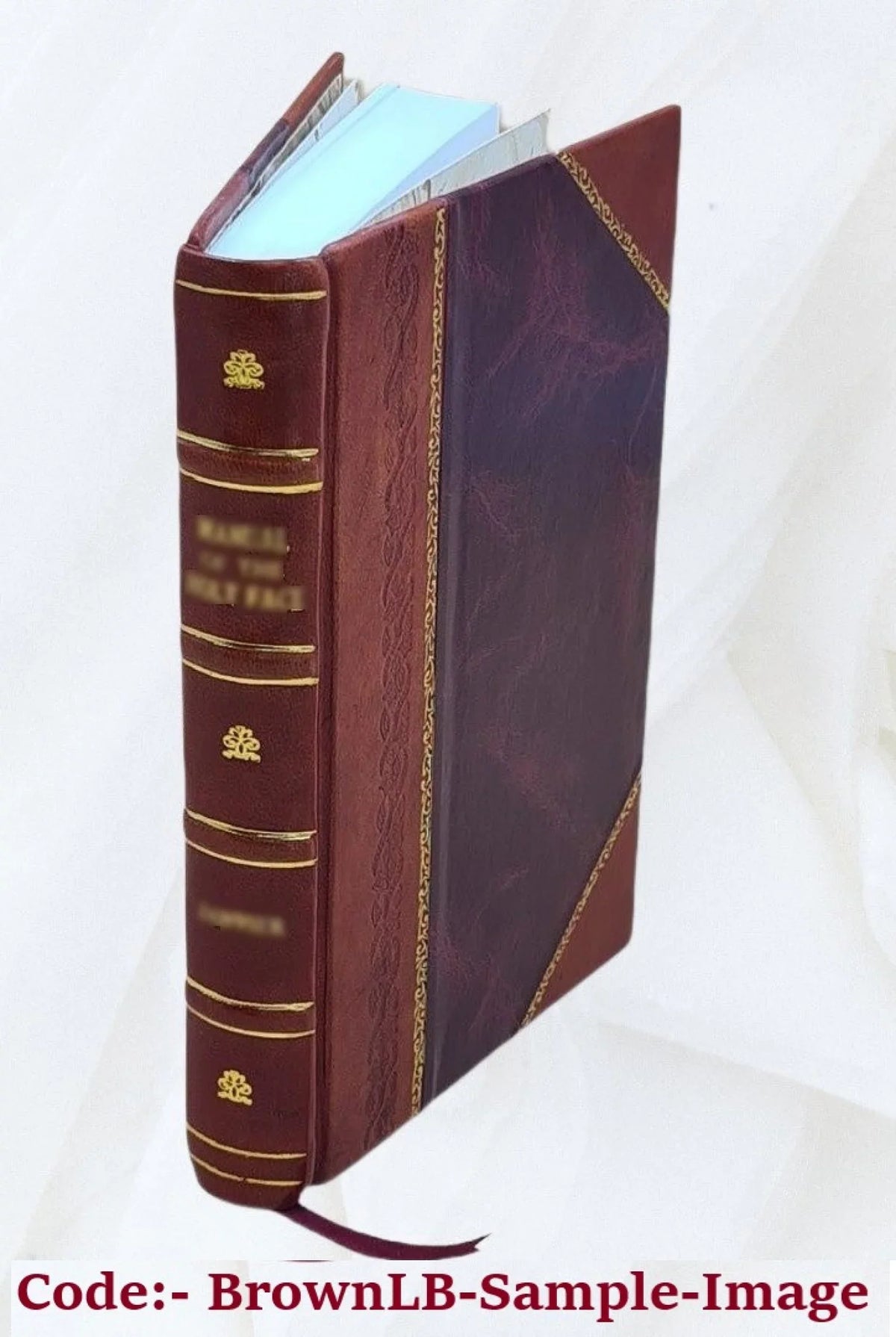 Wendell. / Shakespere [Leather Elizabethan literature Bound] Barrett study a 1901 in by : William