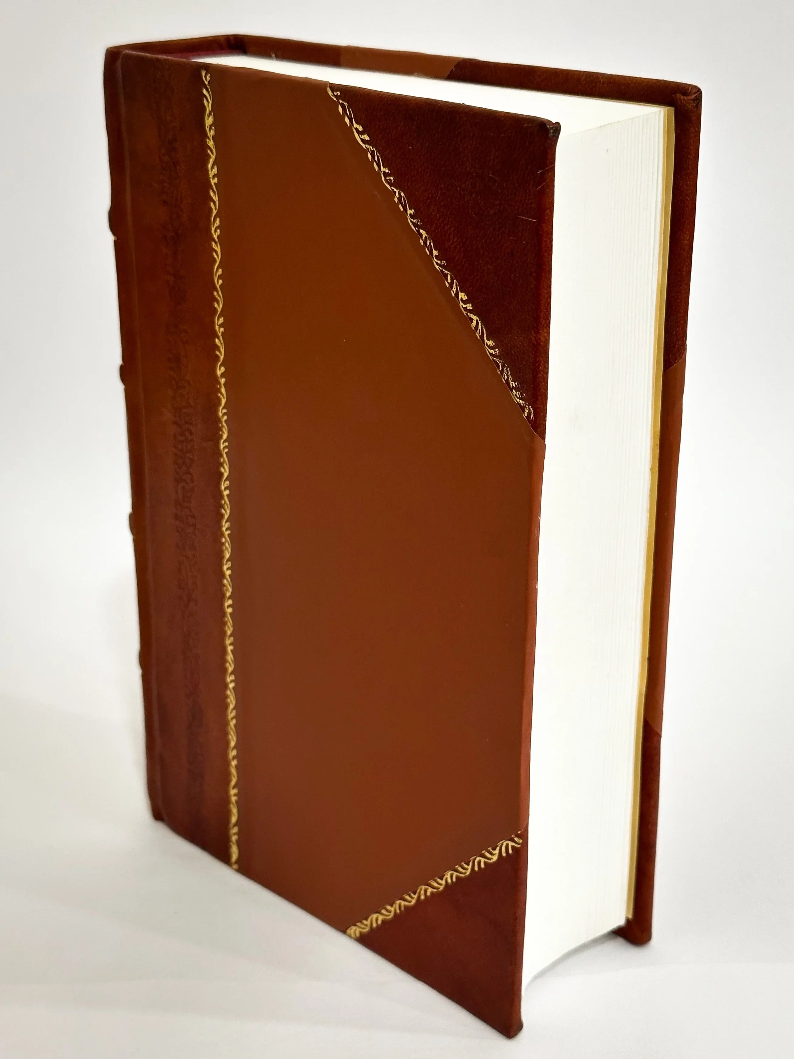 Iovij Mendis Extant Accurate Pauli Omnia. Suis Bound] A & Locis Quotquot Opera Opportune / Imaginibus 1 Edition Novocomensis Illustrata 1578 Eleganter (1578) Repurgata, Vivisque [Leather