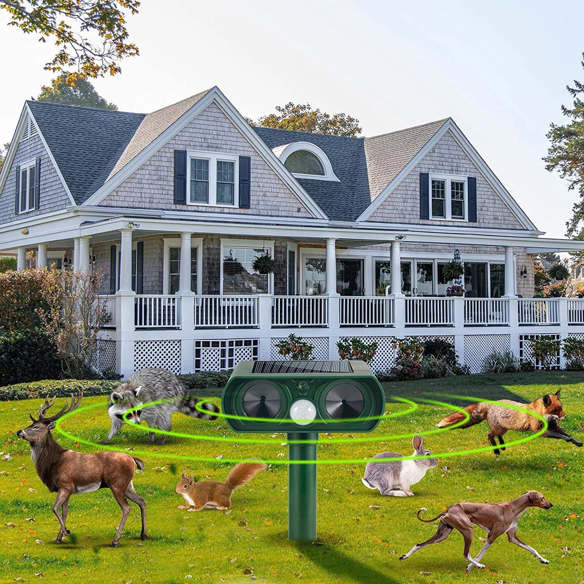 PIR Waterproof Sensor Pest Pack Away Animal Flashing Cat Outdoor Dog Repellent Animal Raccoon & Mouse Repeller Deer Ultrasonic Repeller Fox 2 Lights with Solar Keep to Deterrent Animal