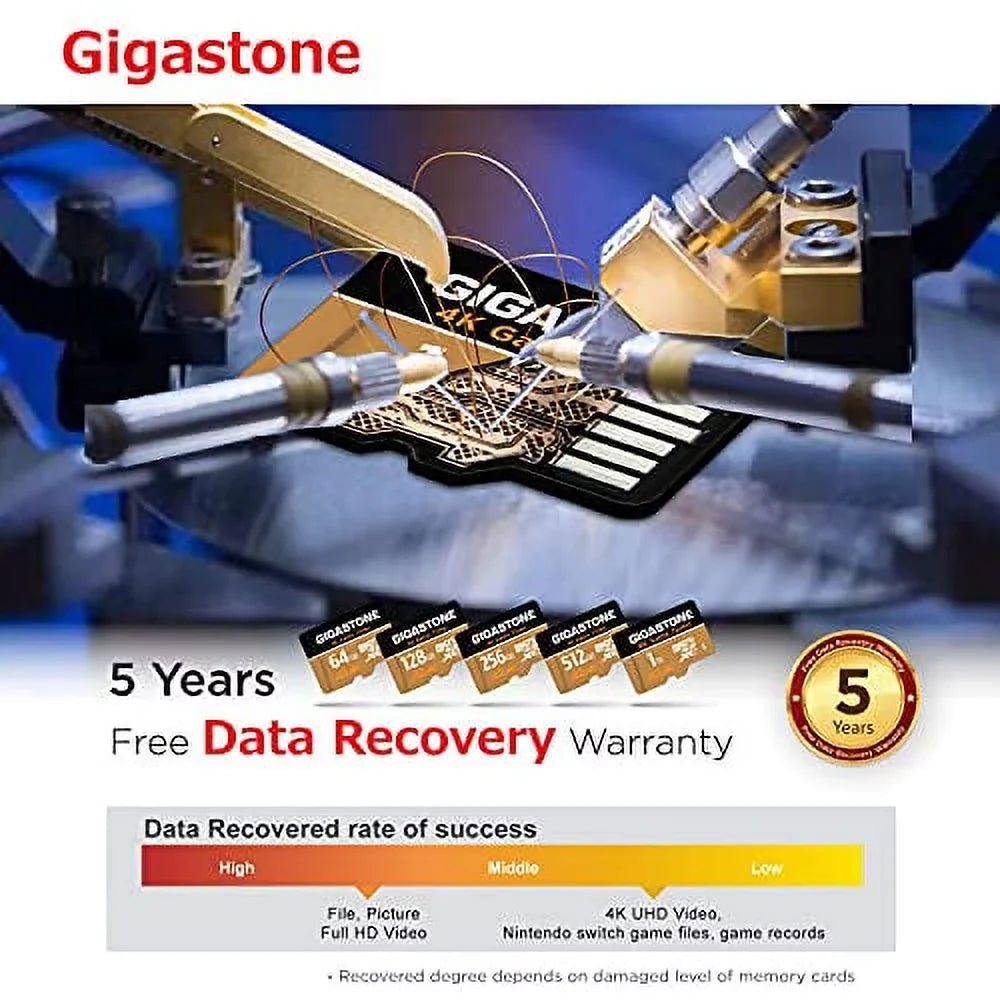 Cams, Game C10 R/W UHS-I Switch Run [5-Yrs A2 Dash Micro 4K Cameras, Go Memory 100/60MB/s SDXC Card, 256GB Turbo Free-Data-Recovery] U3 App Nintendo Pro Compatible, Gigastone
