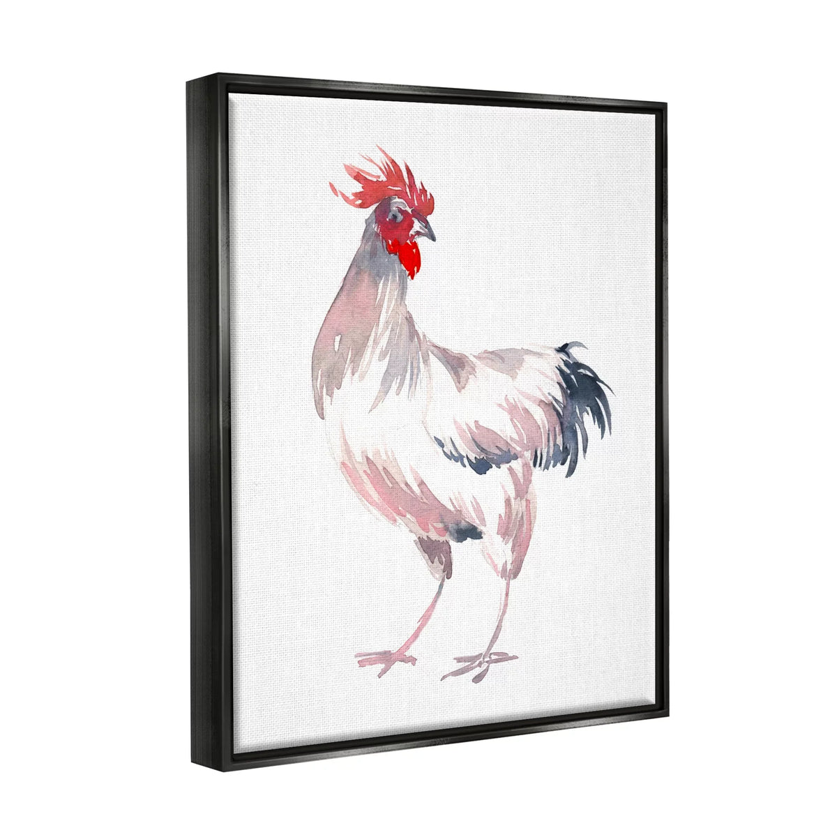Animals Portrait Art Floater White Industries Print Painting 17 Black Wall Stupell Insects Art, x & 21 Rooster Framed