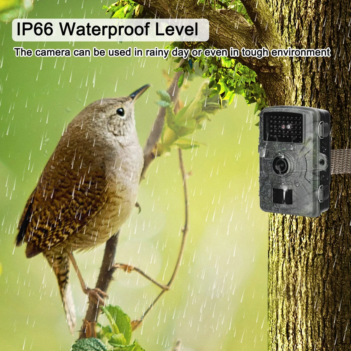 Waterproof, Infrared 1080P our Portable with Lights Camera Wildlife Moments Capture Tomshoo Trail 16MP IP66