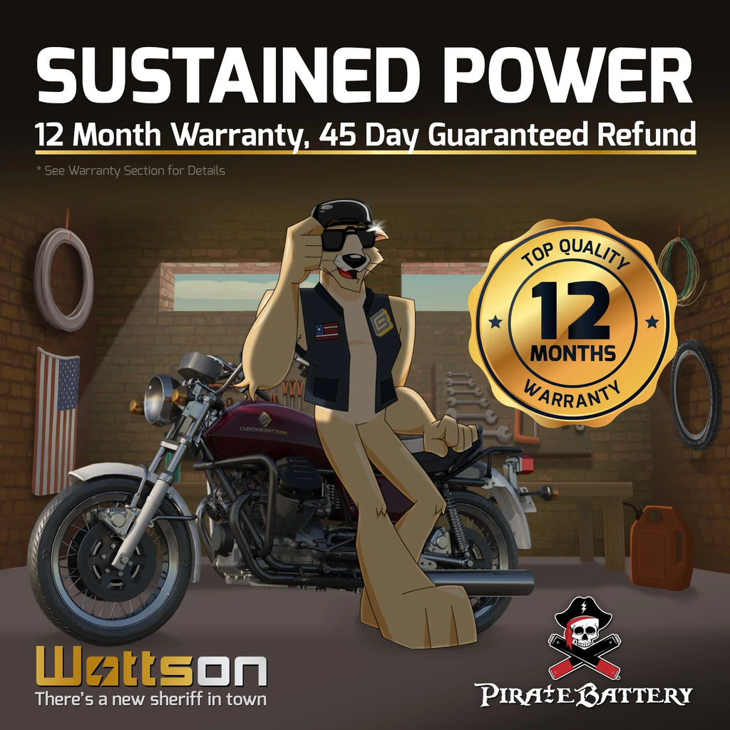 230 for Battery Ah, Volts,14 Cca) Runner Pirate Ytx16l-bs Yamaha Wave Jet 1997 (16l-bs 12 Battery Ski