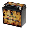 1995 Pirate Battery 800cc B, for Kawasaki Drifter Ah, 200 Vulcan, YTX14-BS E 12 Vn800-a, Motorcycle Battery C, CCA) Classic, (14-BS Volt,12