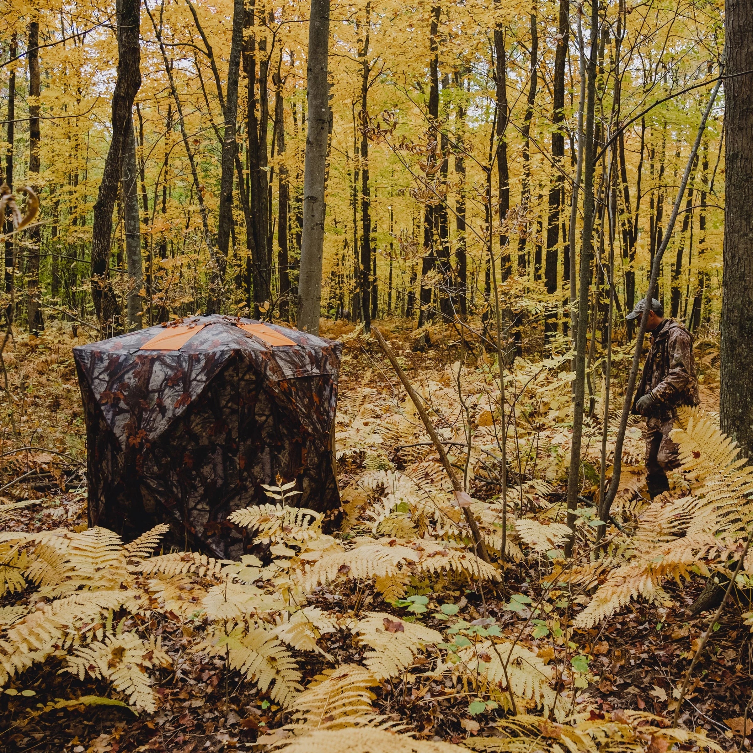 Woodland, Road Runner, Hub 2-Person, Portable RR200BT Blind, Bloodtrail® Blinds® Barronett