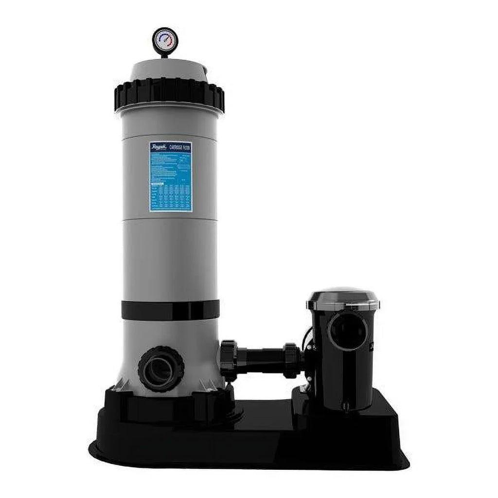 System, Above Cartridge Ground HP Filter 1 Protege 018200 ft, Pool 100 Raypak