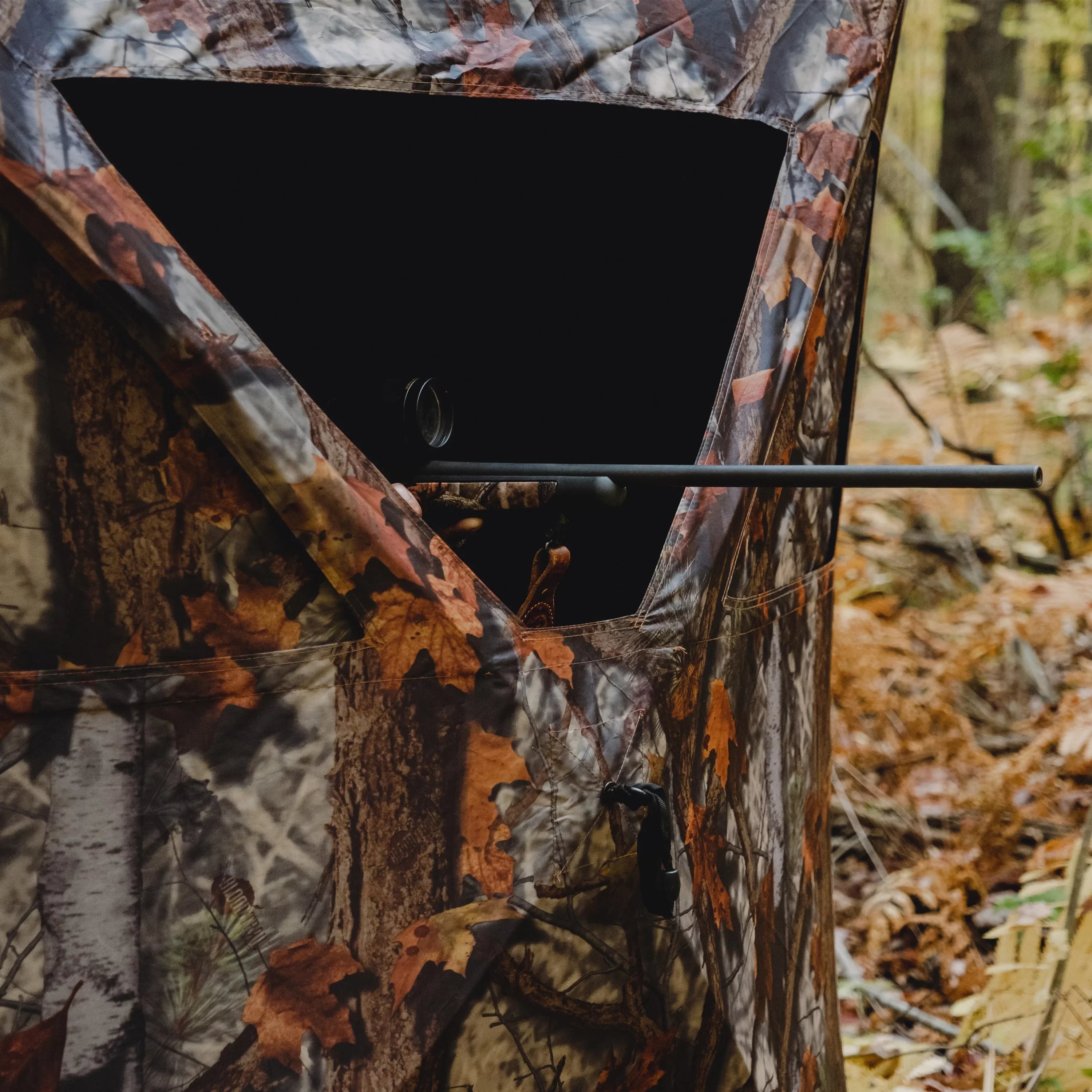Woodland, Road Runner, Hub 2-Person, Portable RR200BT Blind, Bloodtrail® Blinds® Barronett